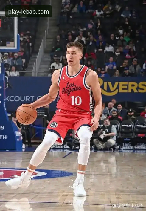 资深球迷复盘：从快船鹈鹕大逆转看乐宝体育平台的深度观赛体验